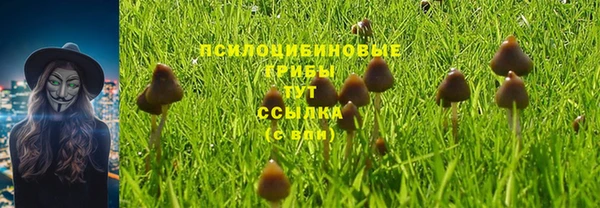 2c-b Бронницы