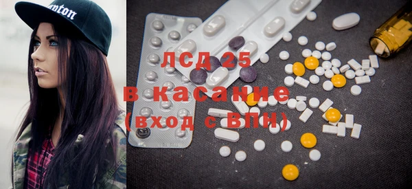 спайс Бородино